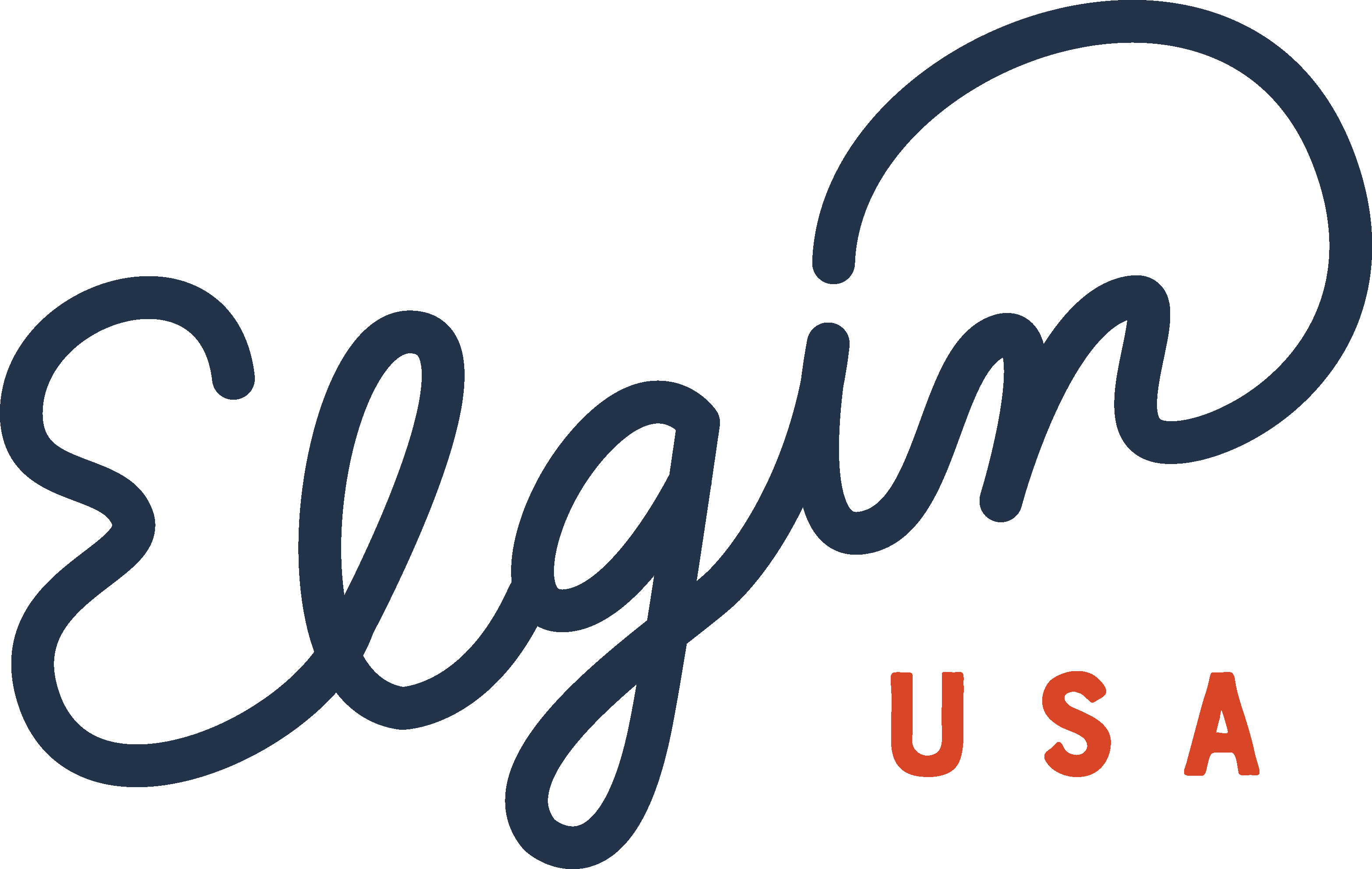 Elgin Script Logo